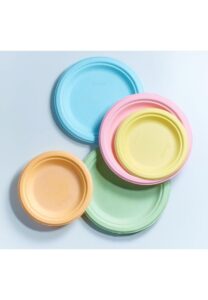 Assiette canne à sucre couleur 23cm et 18cm