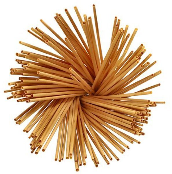 Paille bio en véritable paille "Pure" Ø4mm 20cm