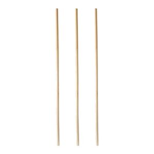 Paille bio en véritable paille "Pure" Ø4mm 20cm