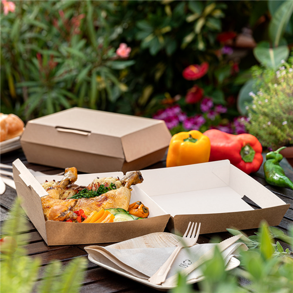 boites large lunchox "thepack" 220g/m2 23,5x24x8,7cm naturel carton ondulé nano-micro