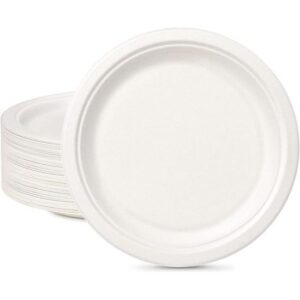 Assiette canne à sucre 23cm