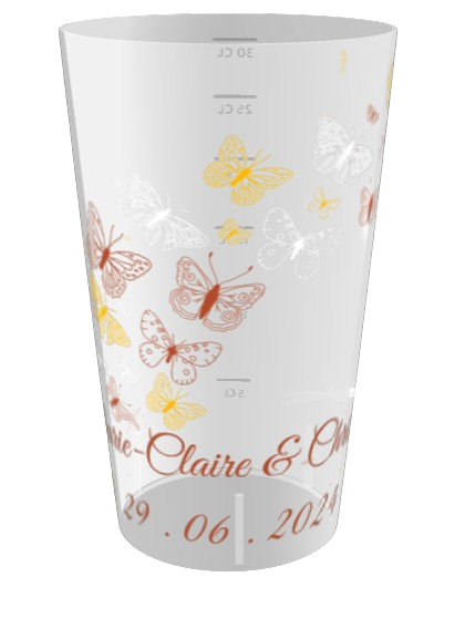 Mariage Marie-Claire & Christian