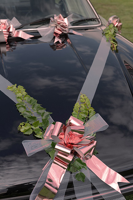 Grand nœud automatique uni 50mm par 10