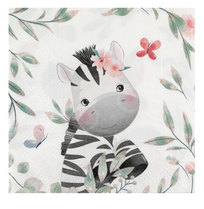 Serviettes Décor Explorateur