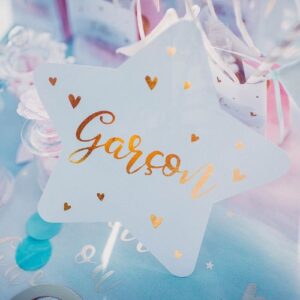 6 Décorations de Table “Fille ou Garçon” en papier rose, bleu et or de 6,5 à 20,5 cm