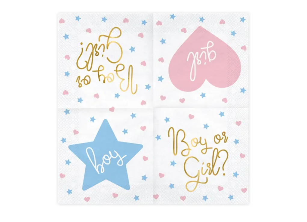 Assiettes "Boy or girl" 23cm par 6