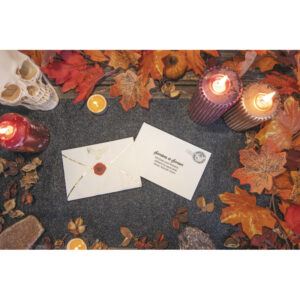 Serviettes 30x20cm Enveloppe Apprenti Sorcier par 16
