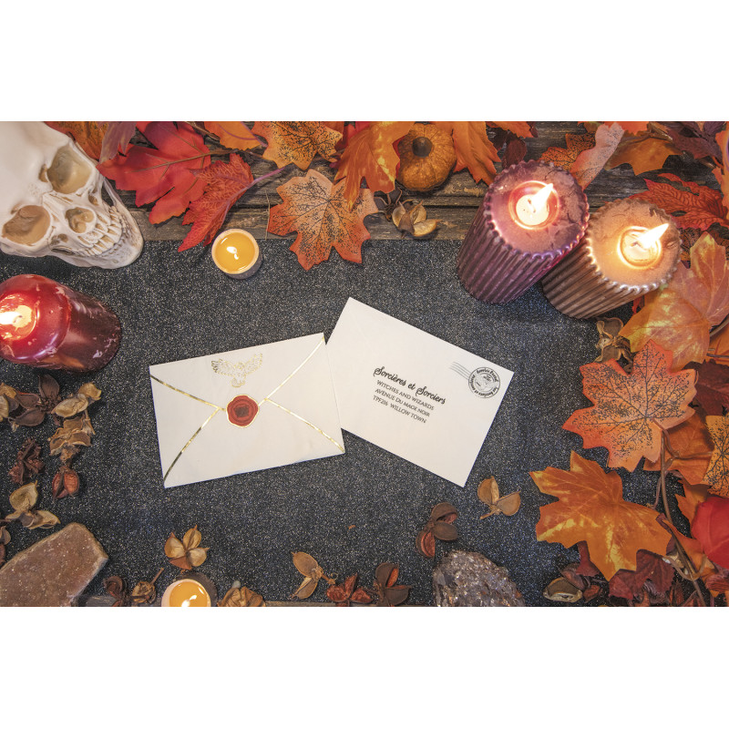 Serviettes 30x20cm Enveloppe Apprenti Sorcier par 16