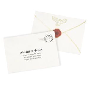 Serviettes 30x20cm Enveloppe Apprenti Sorcier par 16
