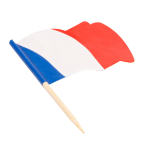 Piques Petits Drapeaux “France” 4x3cm - h6,5cm par 144