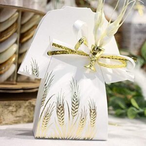 Contenant Robe de Communion