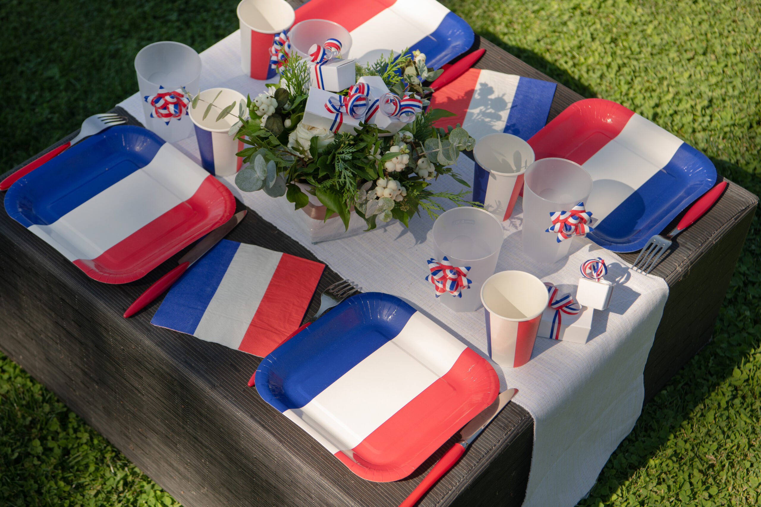 Serviettes France 33x33cm 3 Plis par 20