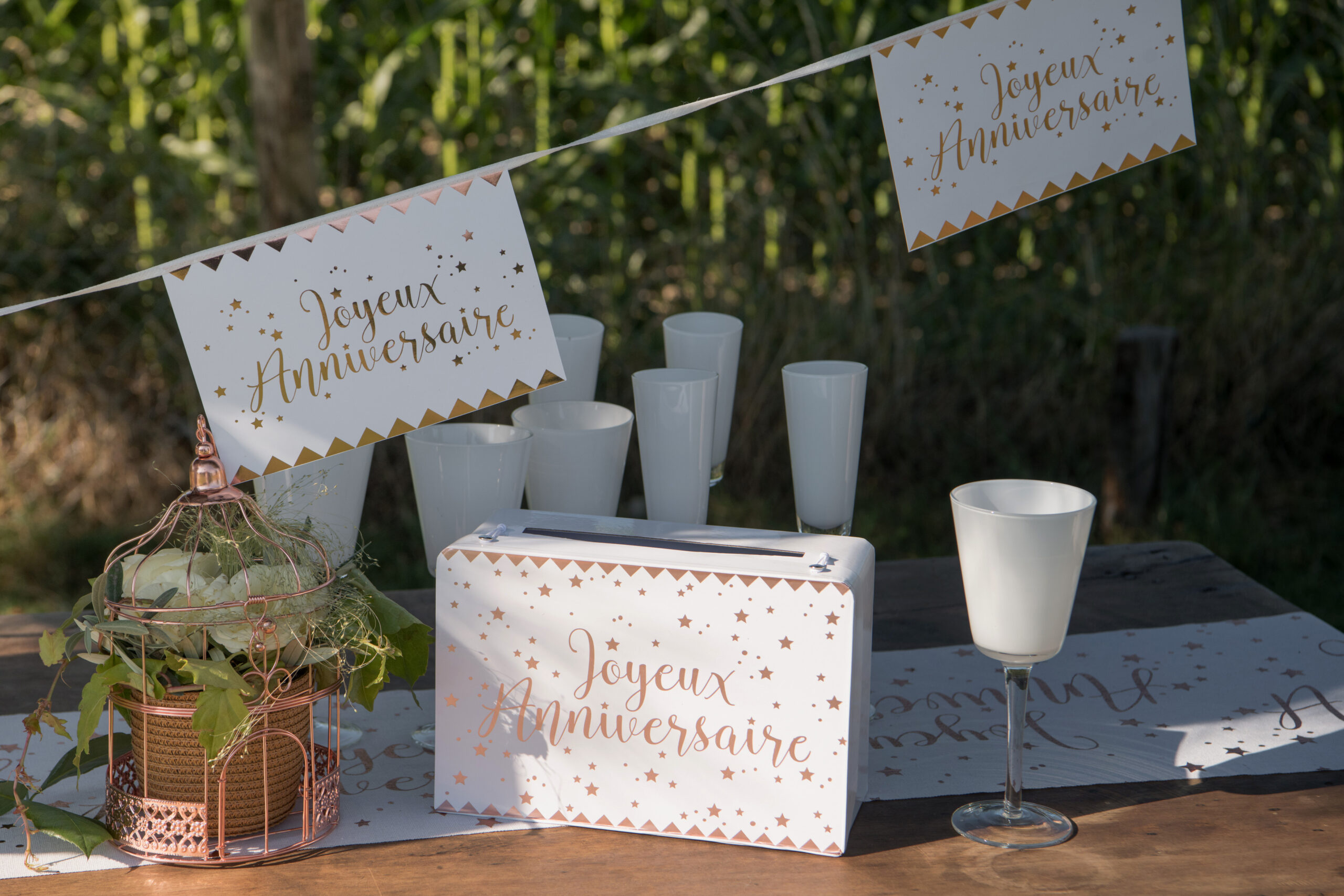 Guirlande de 12 fanions “Joyeux Anniversaire” 5m